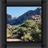 Curated Pevine Rail Trail & Watson Lake Photo Album 1 Logo